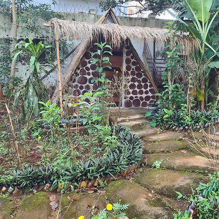 Backpacker Hostel And Jungle Trekking Banlung Exterior foto