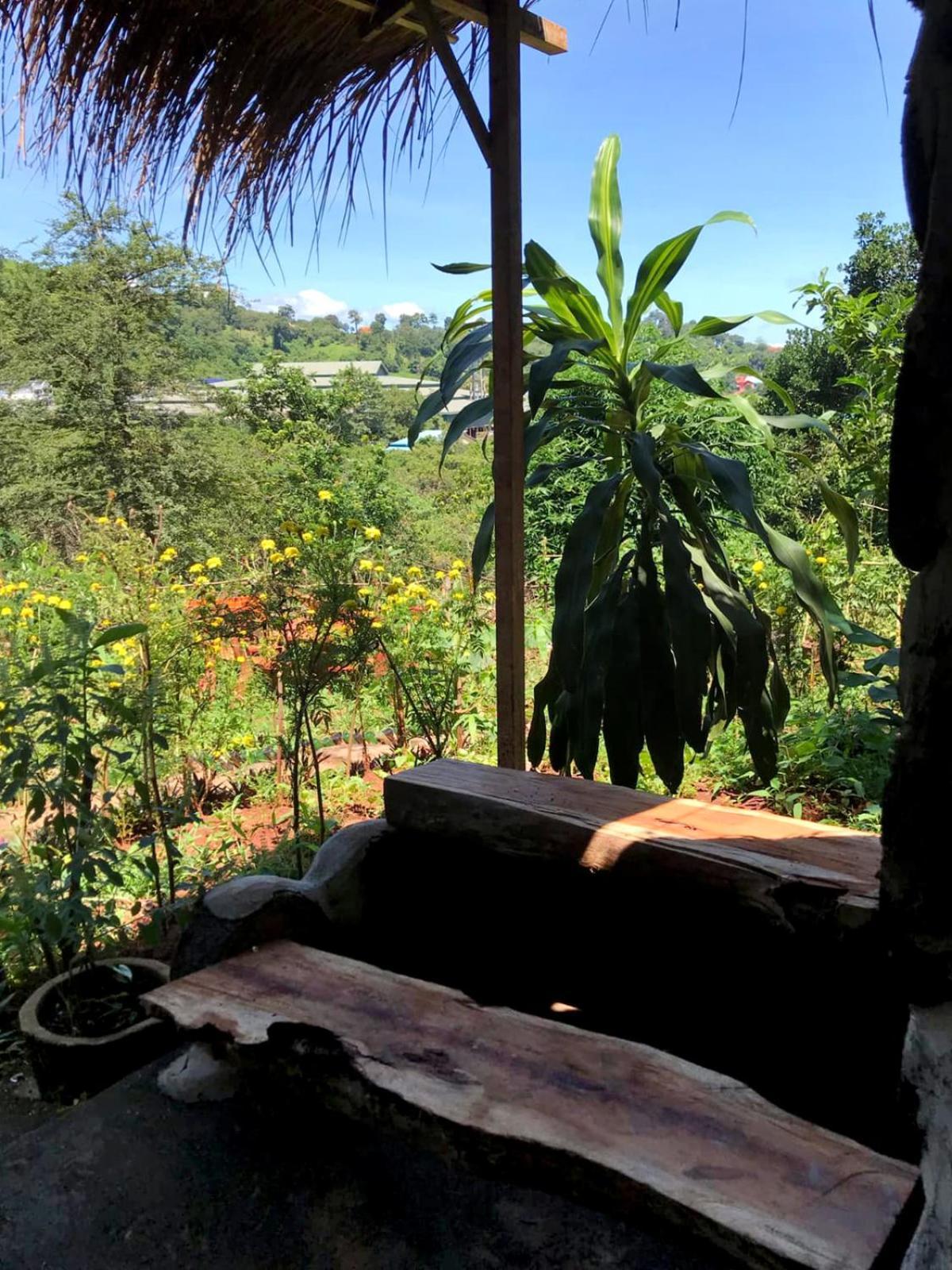 Backpacker Hostel And Jungle Trekking Banlung Exterior foto