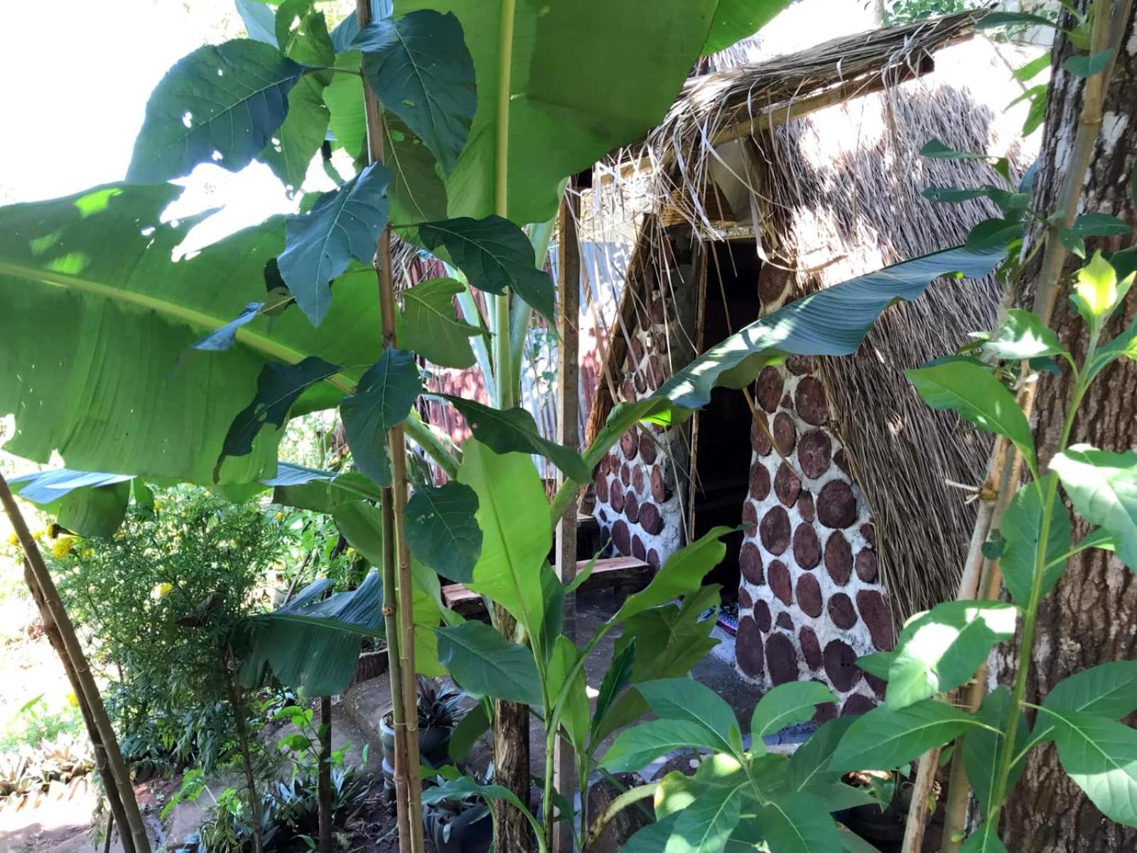 Backpacker Hostel And Jungle Trekking Banlung Exterior foto